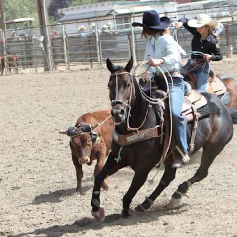 Meet your Posher, Lacee